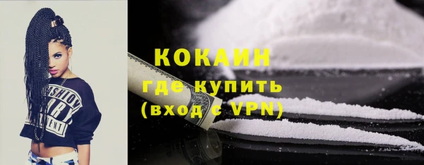 стаф Волосово