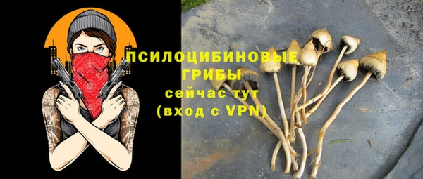 индика Верхнеуральск