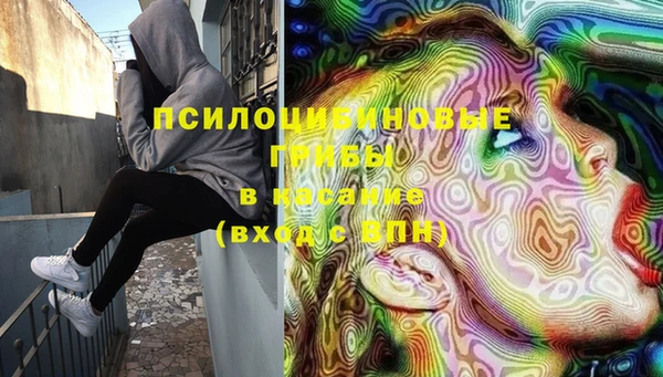 индика Верхнеуральск