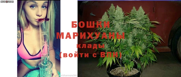 стаф Волосово